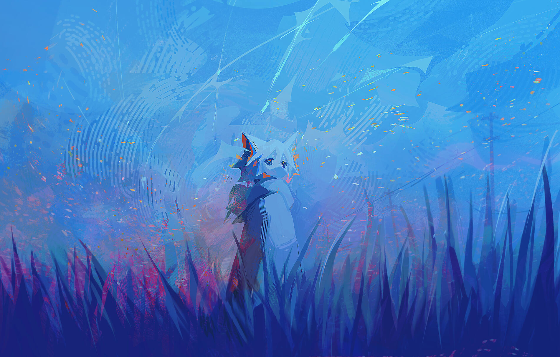 meteor